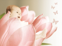 Baby sitzt in einer Blüte