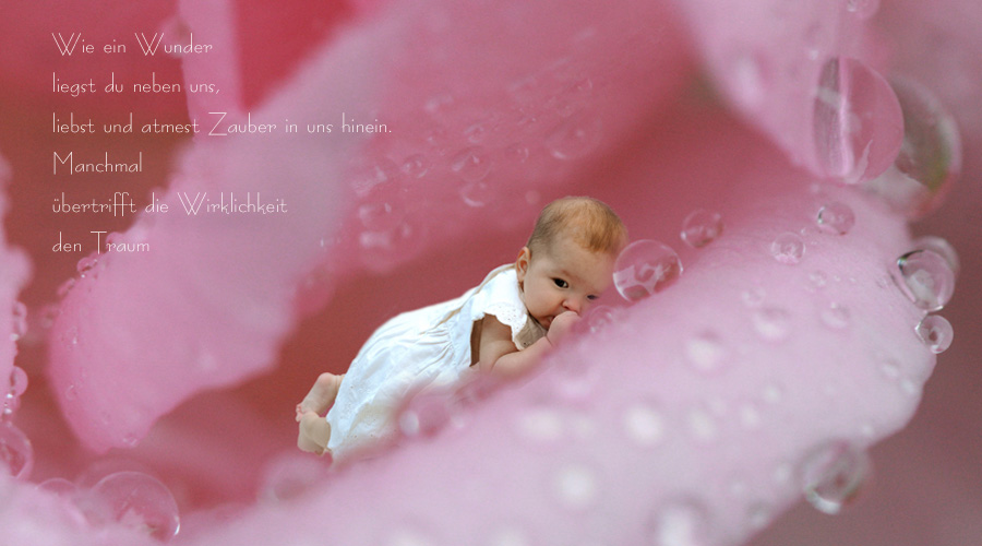 ein kleines Baby in einer Rosenblüte 