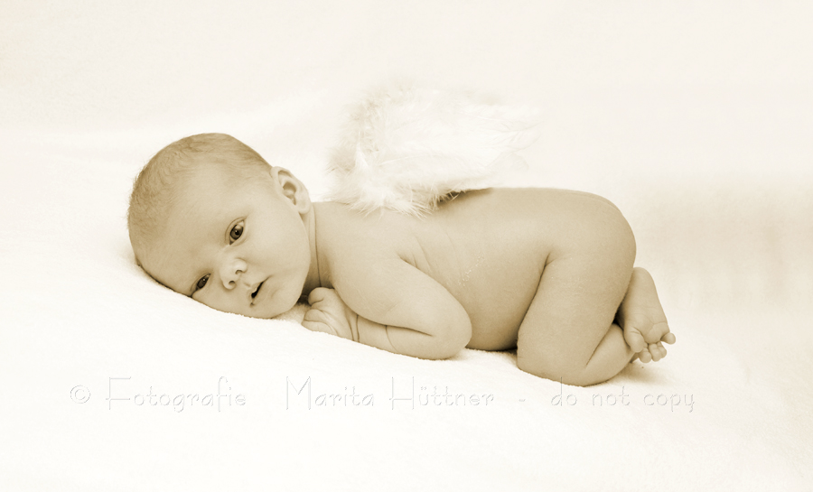 kleines Baby mit Engelsflügeln - Babyfotografie, Babyfotos