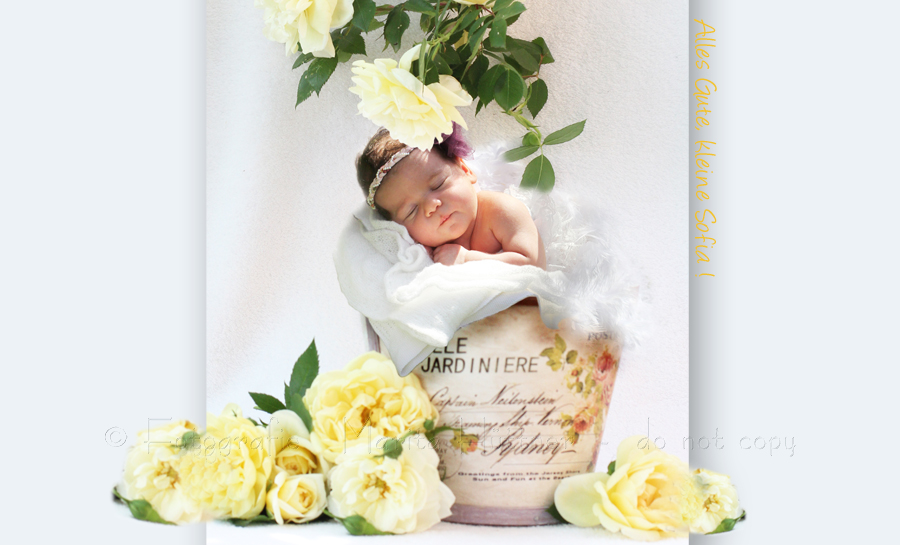 Babyfotografie Heilbronn, Fotografie Marita Hüttner, Neugeborenes Baby, Babyfotos wie Anne Geddes