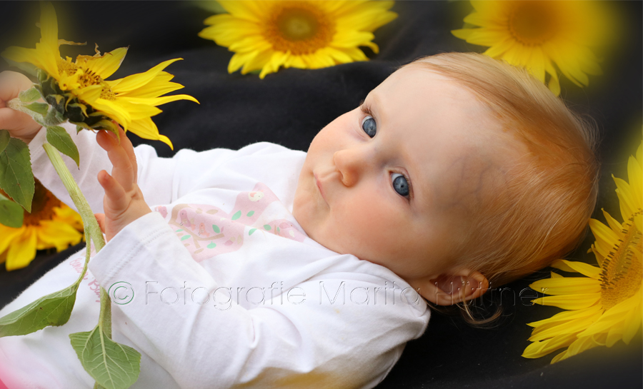 Babyfotos, schöne Babybilder, Babyfotograf, Outdoorshooting, Fotoshooting Oberderdingen, Marita Hüttner, Bretten, Eppingen, Heilbronn