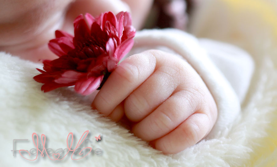 Ein Babyhändchen hält eine kleine Blume fest