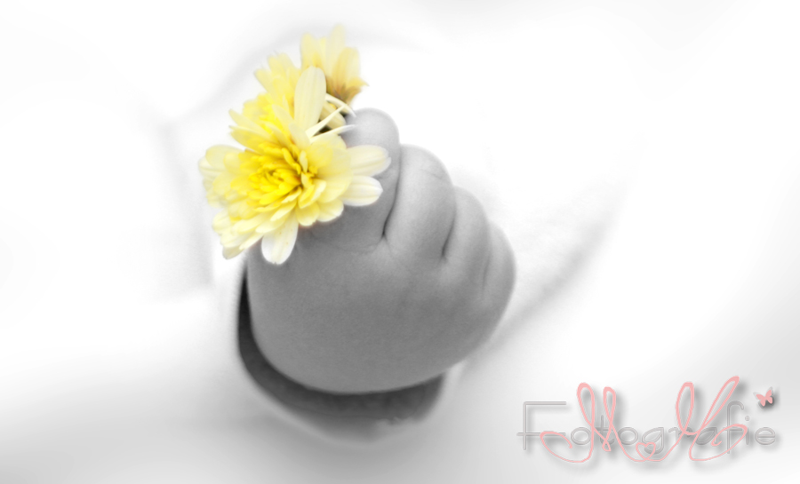 Bild einer Babyhand, in der Faust hält das Kind eine gelbe Blume. Aufnahme in schwarzweiß.