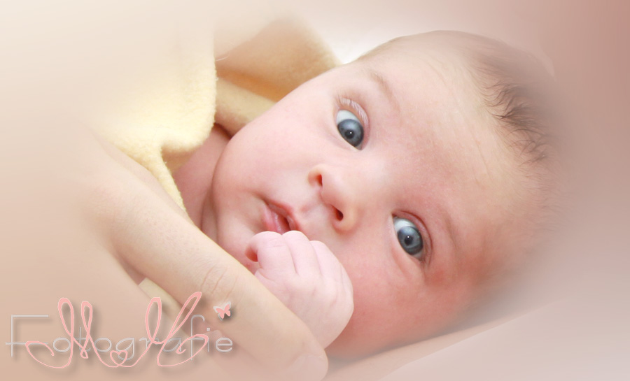 Mit großen Augen schaut das neugeborene Baby in meine Kamera. Portrait in Farbe.