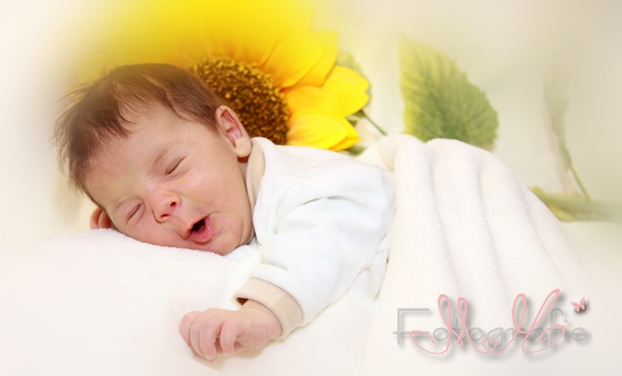 Babyfoto von einem kleinen gähnenden Baby, im Hintergrund eine gelbe Sonnenblume.