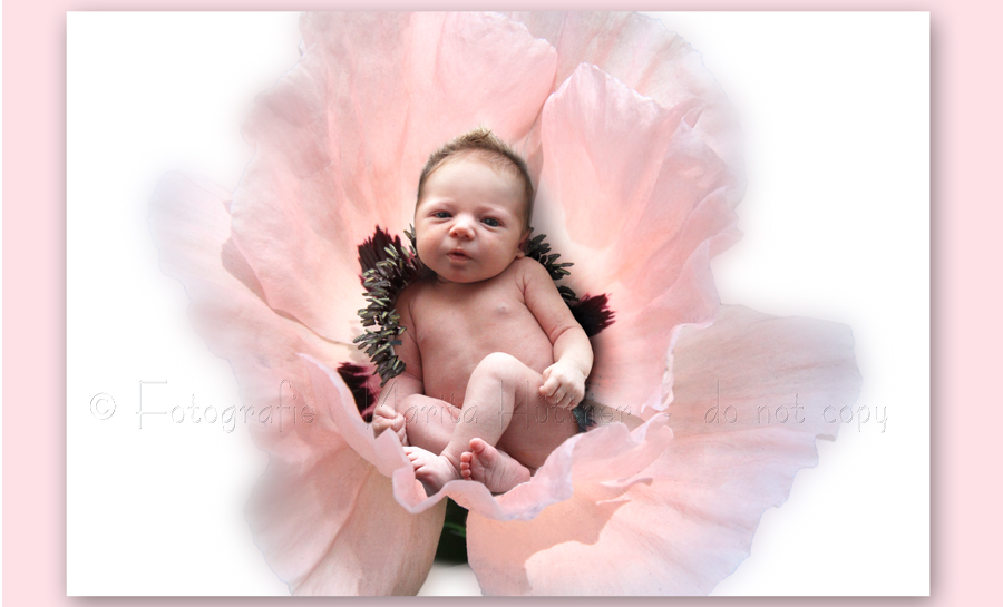 Baby in Blume - neugeborenes Baby in einer Mohnblumenblüte