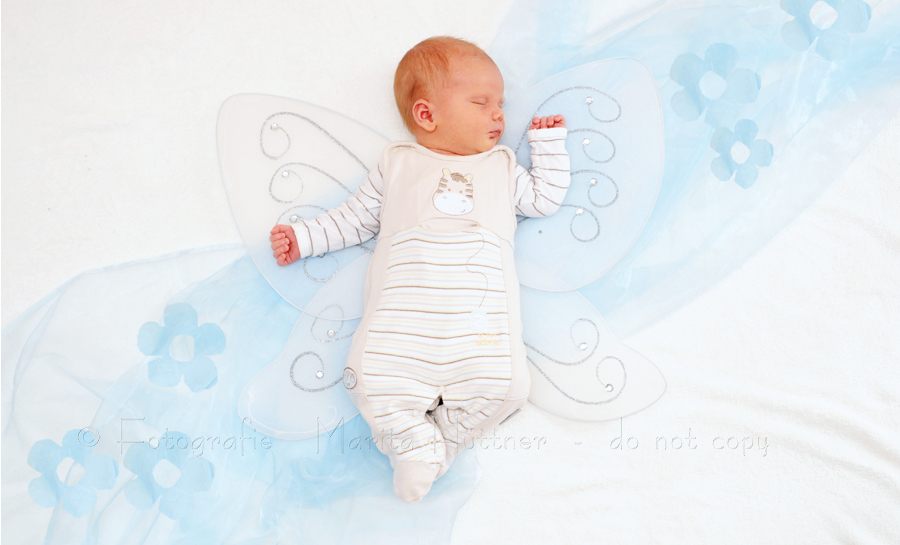 Baby mit Schmetterlingsflügeln - Babyfotografie Marita Hüttner