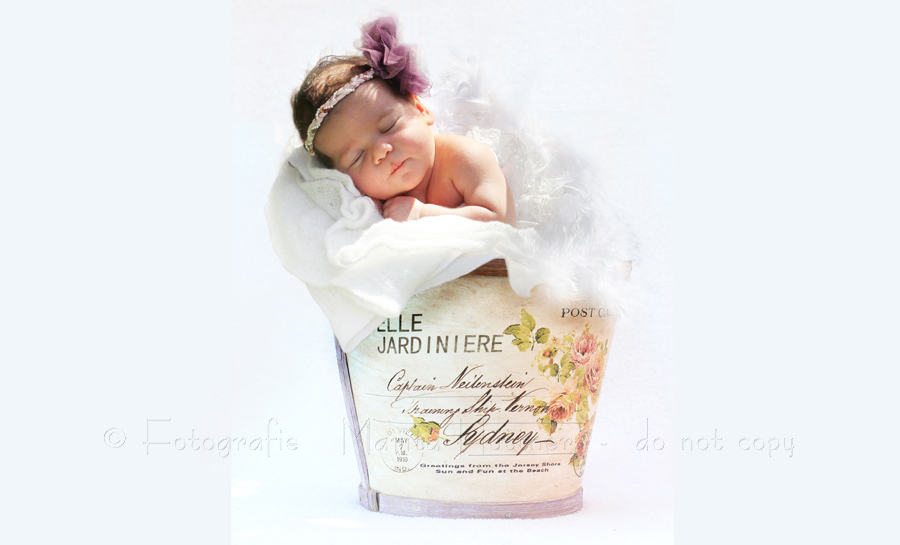 Babyfotografie - Baby in Blume - Fotografie Marita Hüttner - Fotos wie Anne Geddes