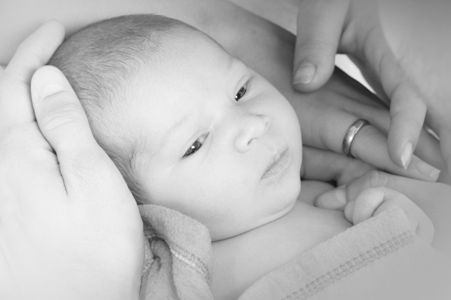Portrait eines neugeborenen Babys - umgeben von den Händen seiner Eltern.